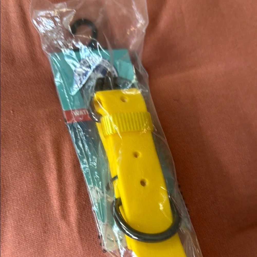 Bright Yellow Dog Collar